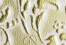 ll-floral-white-gold-mat